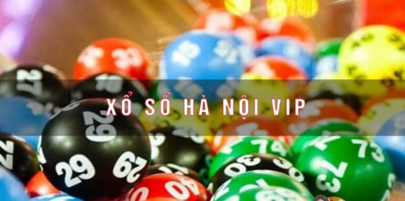 Tra cứu kết quả xổ số Hà Nội Vip ở đâu?