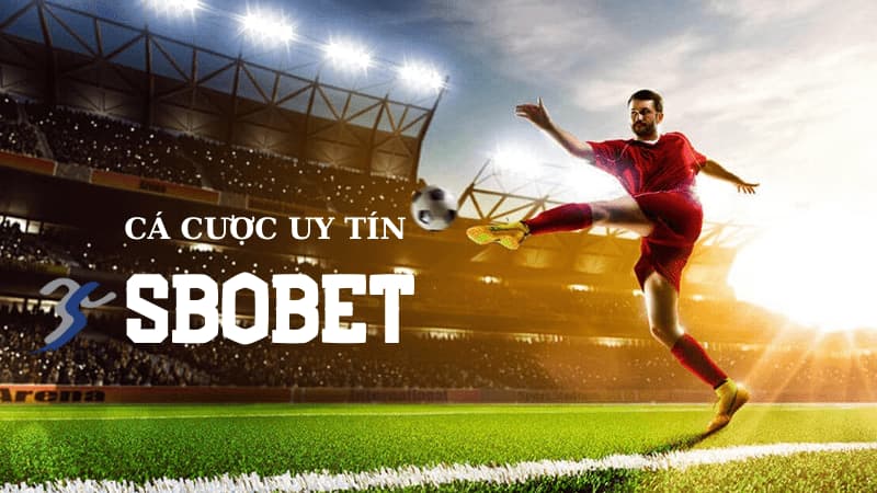 Sbobet Thabet là nhà cái cá cược online nổi tiếng bậc nhất 